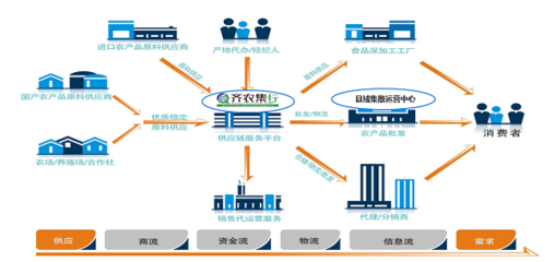 齐农集行 以智慧化弹性供应链生态，赋能打造县域经济新引擎